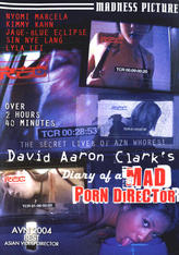 Diary of A Mad Porn Director
